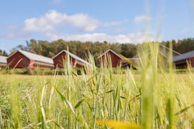 Näringen | Livskraft, livskvalitet och en bra vardag