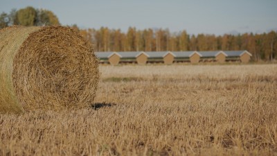 Medialle | Enemmän kuin tuhat sanaa 